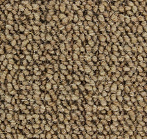 Ковролин Edel Lawrence 223 фото 1 | FLOORDEALER