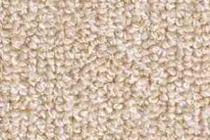 Ковролин Balsan Omega 008 фото  | FLOORDEALER