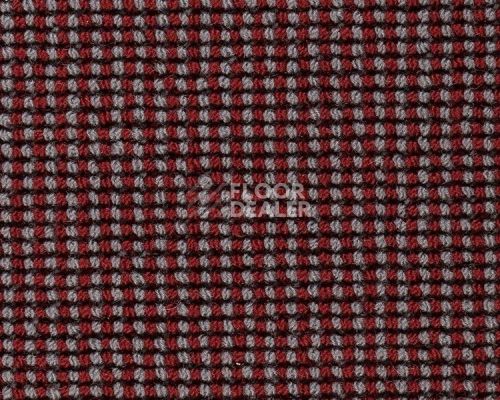 Ковролин Best Wool Hospitality 2 h 3650 - m 10002 фото 1 | FLOORDEALER