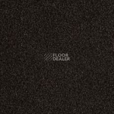 Ковровая плитка Interface Human Nature 830 608003 Black фото 1 | FLOORDEALER