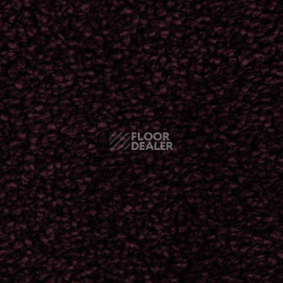 Ковролин Edel Wild Romance 188 фото 1 | FLOORDEALER