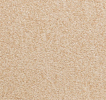 Ковролин Balta ITC Amaize Beaufort 37 фото 1 | FLOORDEALER