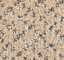 Ковролин Balsan Lounge Lounge 710 фото 1 | FLOORDEALER