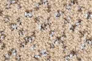 Ковролин Balsan Lounge Lounge 710 фото  | FLOORDEALER