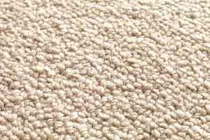 Ковролин Jacaranda Carpets Milford Buttermilk фото  | FLOORDEALER