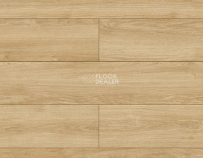 Ламинат Kronopol Platinium Enigma AQUA BLOCK 8mm Kronopol Platinium Enigma Aqua Block 24h Дуб Роза D4531 фото 1 | FLOORDEALER