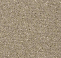 Ковролин Vorwerk Passion 1006 Vorwerk 8j14 фото 1 | FLOORDEALER