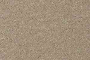 Ковролин Vorwerk Passion 1006 Vorwerk 8j14 фото  | FLOORDEALER