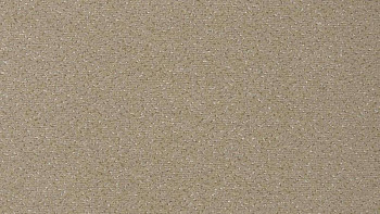 Ковролин Vorwerk Passion 1006 Vorwerk 8j14 фото 1 | FLOORDEALER