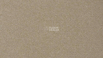 Ковролин Vorwerk Passion 1006 Vorwerk 8j14 фото 1 | FLOORDEALER