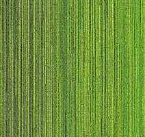 Ковровая плитка Voxflor Color Spring 523 фото 1 | FLOORDEALER