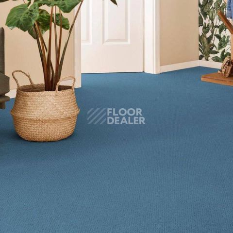 Vorwerk Superior 1071 Vorwerk 3q97 фото 2 | FLOORDEALER