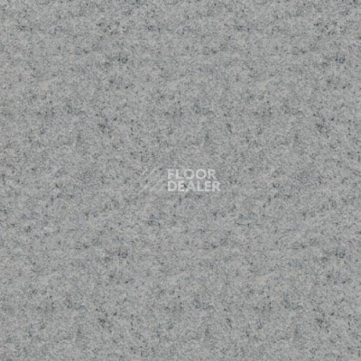 Линолеум Lg Delight DLT9101 фото 1 | FLOORDEALER