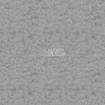 Линолеум Lg Delight DLT9101 фото 1 | FLOORDEALER