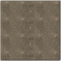 Ковролин AW Animo AW Animo 49 фото 1 | FLOORDEALER