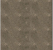Ковролин AW Animo AW Animo 49 фото 1 | FLOORDEALER