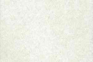 Ковролин FINETT Sport 0019 фото  | FLOORDEALER