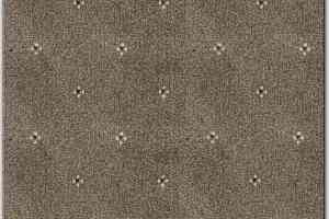 Ковролин AW Animo AW Animo 49 фото  | FLOORDEALER