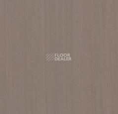 Линолеум Forbo Marmoleum Неожиданная природа 3574 фото 1 | FLOORDEALER