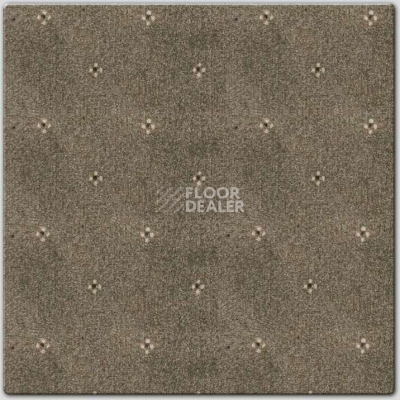 Ковролин AW Animo AW Animo 49 фото 1 | FLOORDEALER