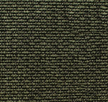 Ковролин Carpet Concept Eco Iqu 3992 фото 1 | FLOORDEALER