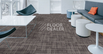 Standard Carpets Casini Casini 547 фото 2 | FLOORDEALER