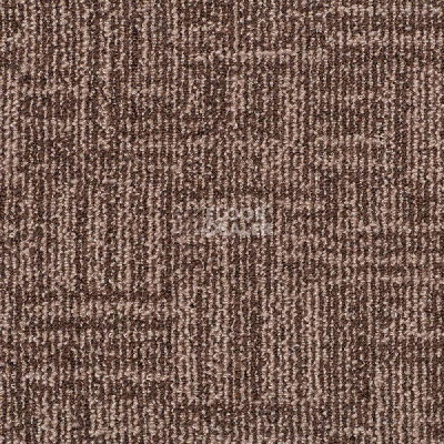 Ковролин Sintelon Panorama 22046 фото 1 | FLOORDEALER