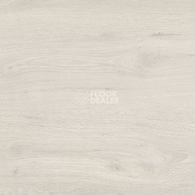 Линолеум Taralay Initial Compact (wood) 0979 Twist White фото 1 | FLOORDEALER