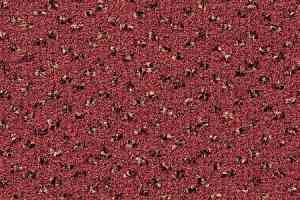 Ковролин Desso Trapez-Brlm 3841 фото  | FLOORDEALER