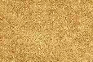 Ковролин AW The Velvet Omphale 54 фото  | FLOORDEALER