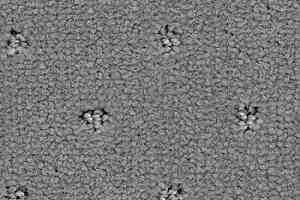 Ковролин Balsan Royal 920 фото  | FLOORDEALER