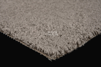 AW Daydream AW Daydream  97 фото 5 | FLOORDEALER