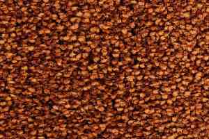 Ковролин Edel Wild Romance 166 фото  | FLOORDEALER