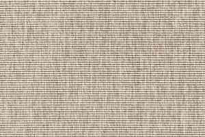 Ковролин Robinia Robinia 6300 68 фото  | FLOORDEALER