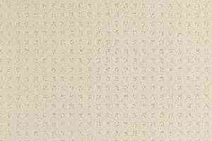 Ковролин Balsan Territoires Atrium 011 фото  | FLOORDEALER