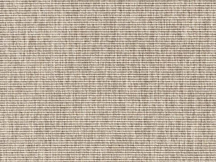 Ковролин Robinia Robinia 6300 68 фото 1 | FLOORDEALER