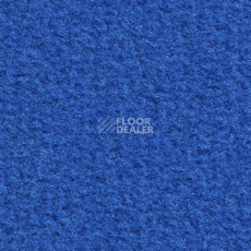 Ковролин Balsan Acadie DD Acadie 151 фото 1 | FLOORDEALER