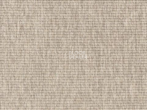 Ковролин Robinia Robinia 6300 68 фото 1 | FLOORDEALER