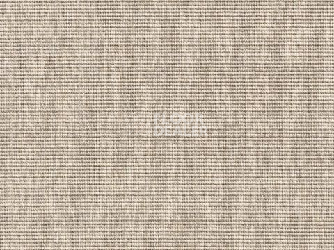 Ковролин Robinia Robinia 6300 68 фото 1 | FLOORDEALER