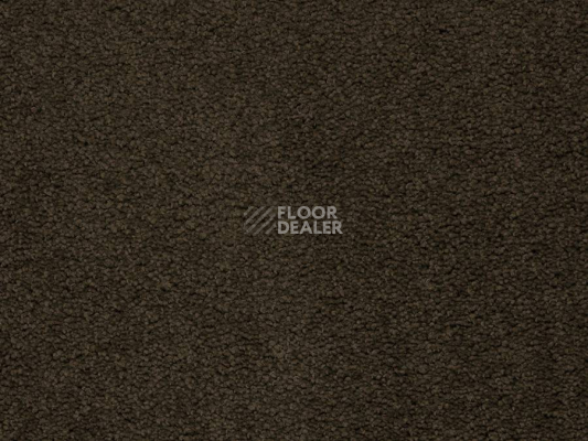 Ковролин Balta ITC Preciosa 148 фото 1 | FLOORDEALER