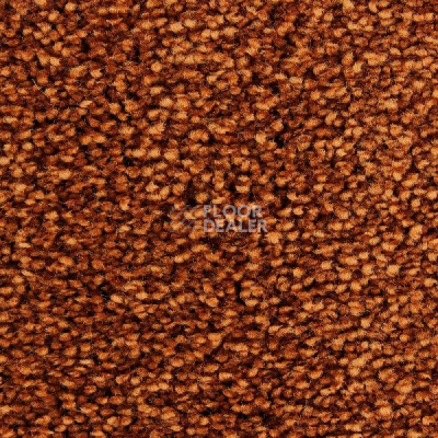 Ковролин Edel Wild Romance 166 фото 1 | FLOORDEALER