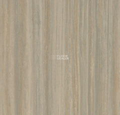 Forbo Marmoleum Striato 5253 bleached gold фото 1 | FLOORDEALER