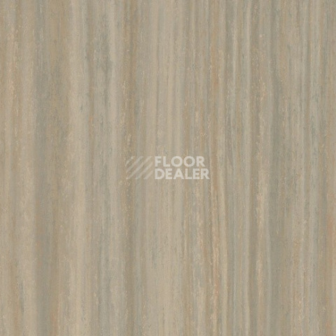 Линолеум Forbo Marmoleum Striato 5253 bleached gold фото 1 | FLOORDEALER
