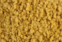 ColorKey ColorKey 08 фото 2 | FLOORDEALER