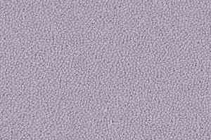 Ковровая плитка Westbond Ibond красная гамма 9567 фото  | FLOORDEALER