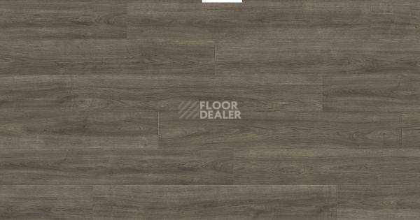 Ламинат Haro Tritty 100 4V ДУБ ЭЛЕГАНЗА АНТИЧНЫЙ СЕРЫЙ 541471 фото 1 | FLOORDEALER