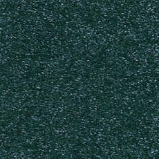 Ковролин AW Poseidon 72 фото 1 | FLOORDEALER