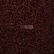 Ковролин Edel Wild Romance 265 фото 1 | FLOORDEALER