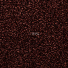 Edel Wild Romance 265 фото 1 | FLOORDEALER