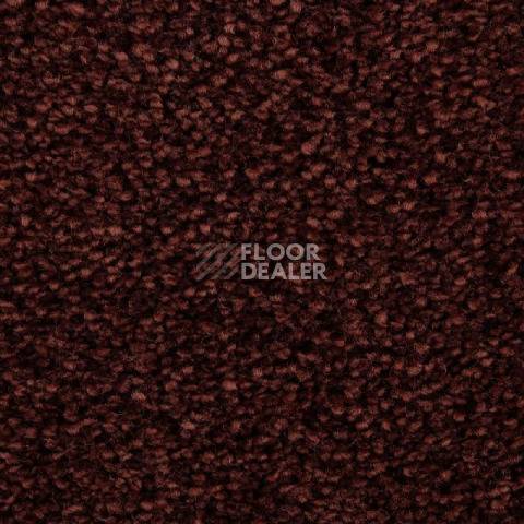 Ковролин Edel Wild Romance 265 фото 1 | FLOORDEALER